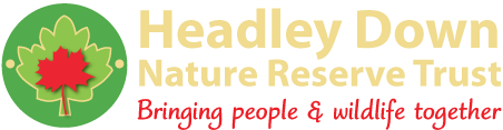 Headley Down Nature Reserve Trust