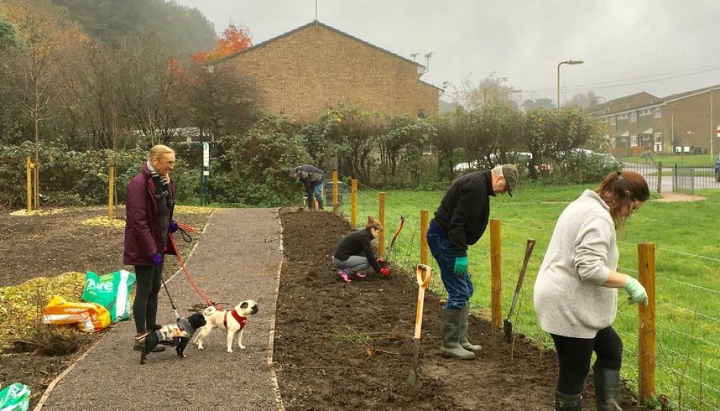volunteering 2018