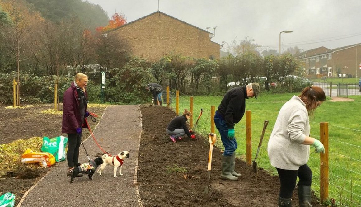 volunteering 2018