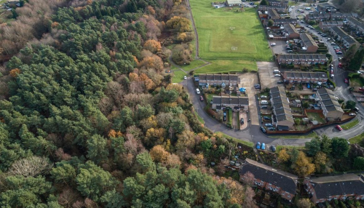 from the air 15
