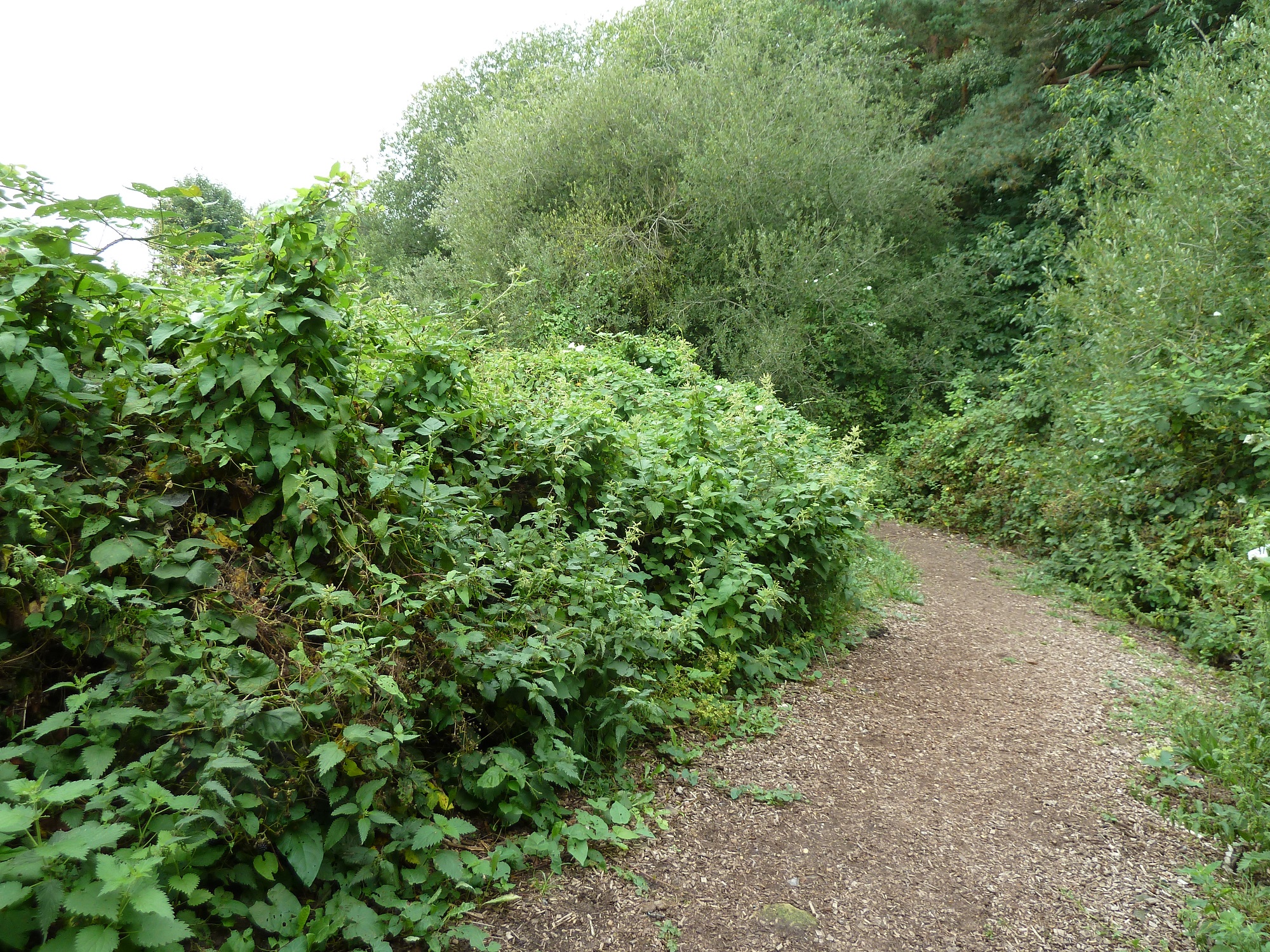 Site to be cleared for Heathland project