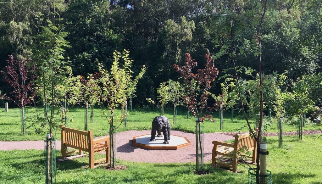 Monty and benches in Erie Wood