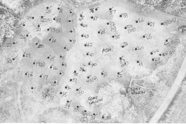 eerie wood plan