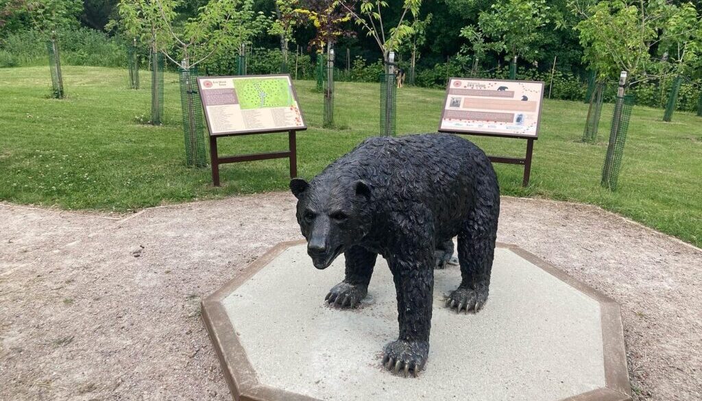 Monty at the Nature Reserve