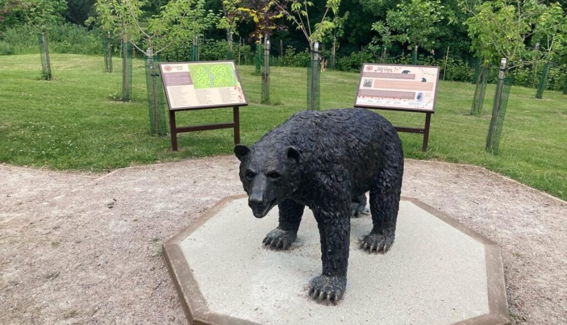Monty at the Nature Reserve