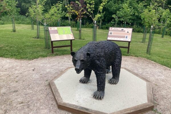 Monty at the Nature Reserve