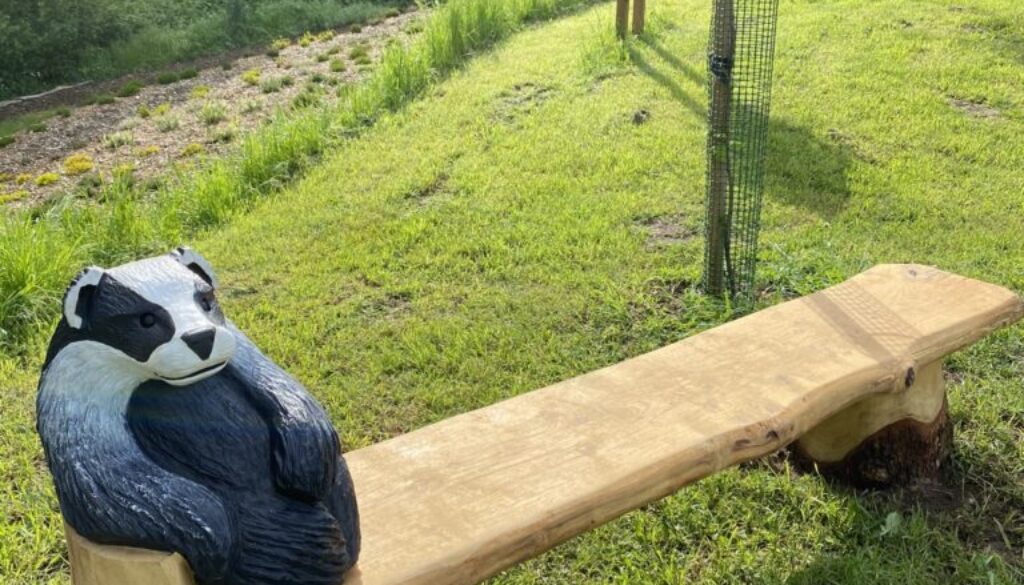 Betty Badger Bench 2