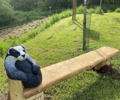 Betty Badger Bench 2