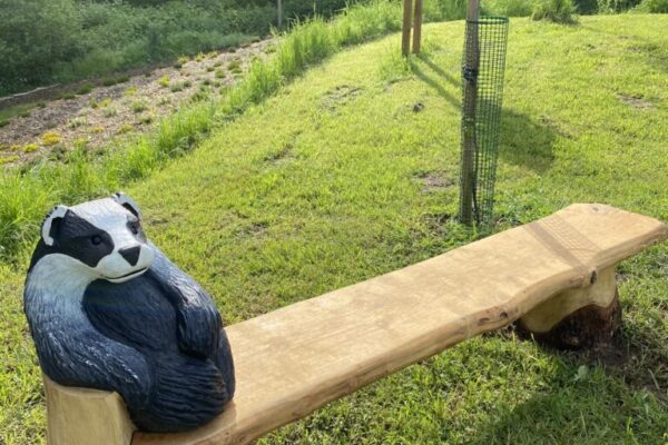 Betty Badger Bench 2