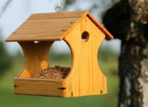 A bird feeding stations