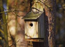 A birdbox