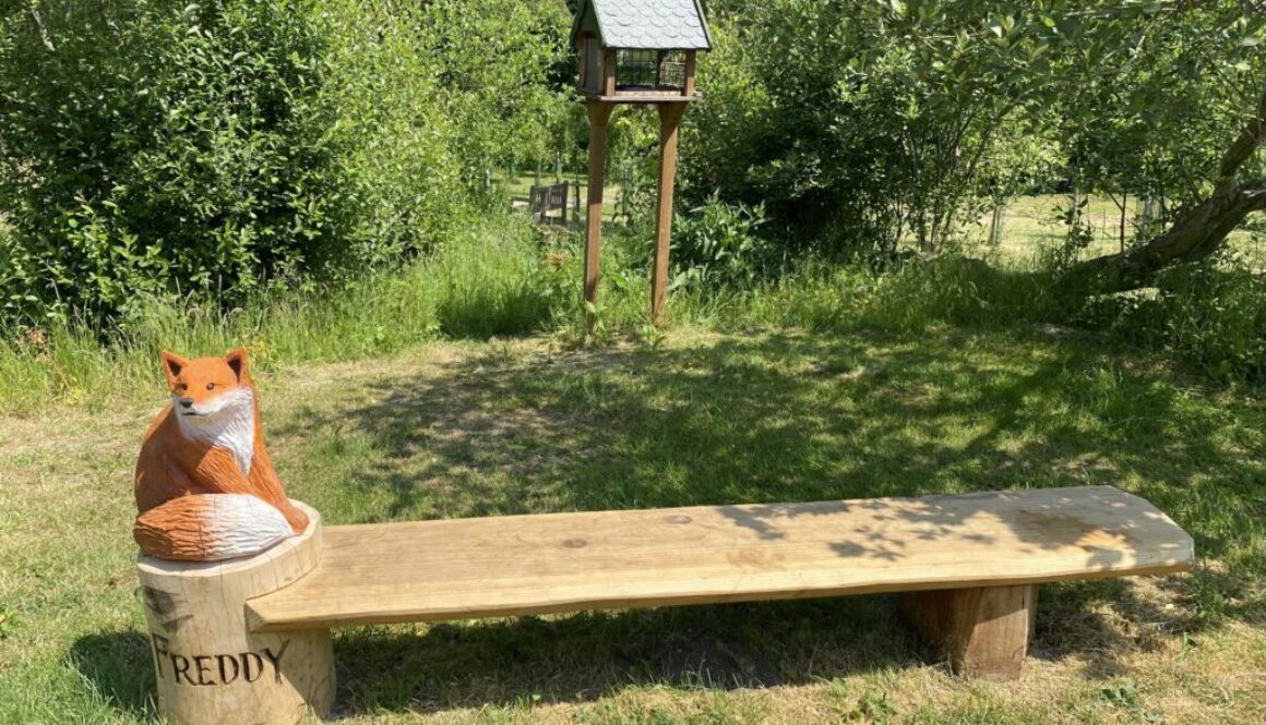 Freddy the Fox Bench